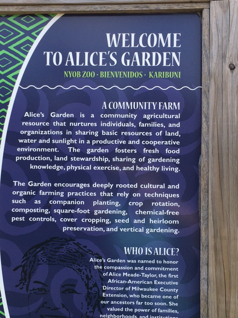 Alice's Garden Milwaukee